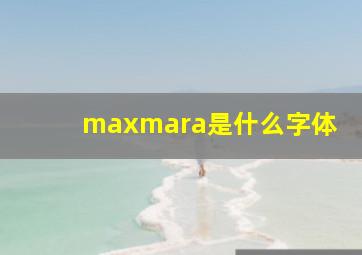 maxmara是什么字体