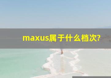 maxus属于什么档次?