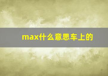 max什么意思车上的