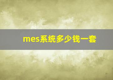 mes系统多少钱一套