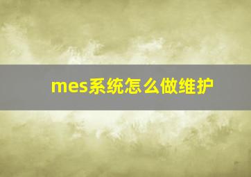 mes系统怎么做维护