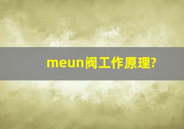 meun阀工作原理?