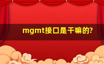 mgmt接口是干嘛的?