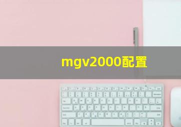 mgv2000配置