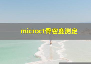 microct骨密度测定