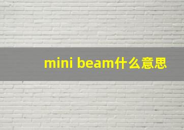 mini beam什么意思