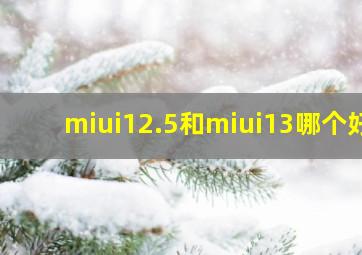 miui12.5和miui13哪个好
