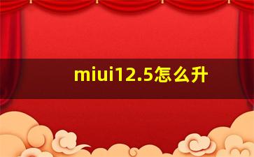 miui12.5怎么升(