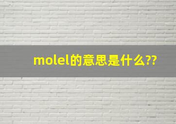 molel的意思是什么??