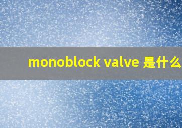 monoblock valve 是什么阀