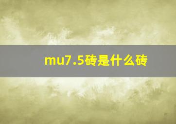 mu7.5砖是什么砖