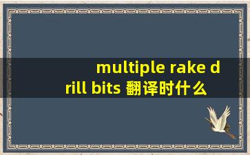 multiple rake drill bits 翻译时什么意思