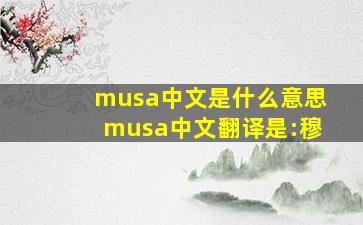 musa中文是什么意思,musa中文翻译是:穆