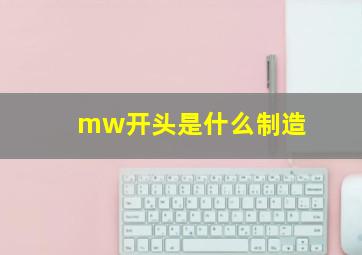 mw开头是什么制造