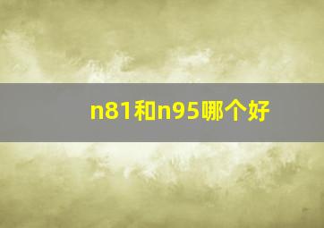 n81和n95哪个好