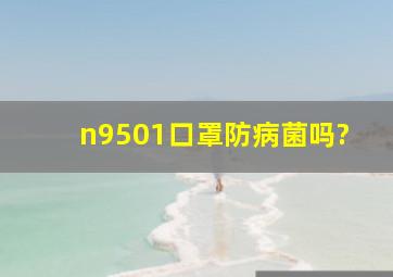 n9501口罩防病菌吗?