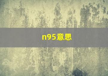 n95意思(