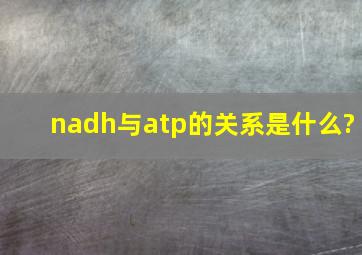 nadh与atp的关系是什么?