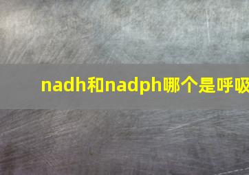 nadh和nadph哪个是呼吸
