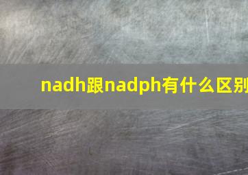 nadh跟nadph有什么区别(