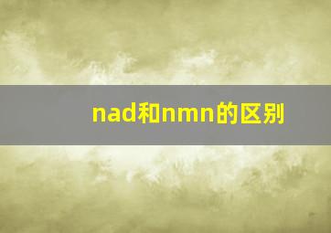 nad和nmn的区别