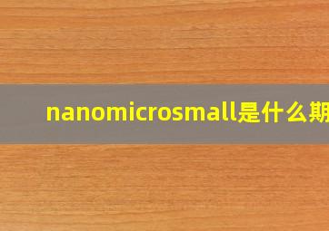 nanomicrosmall是什么期刊