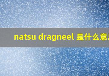 natsu dragneel 是什么意思