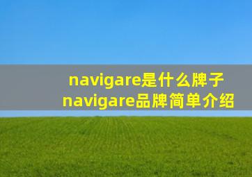 navigare是什么牌子 navigare品牌简单介绍