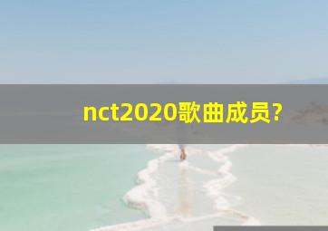 nct2020歌曲成员?