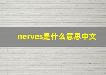 nerves是什么意思中文