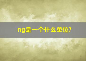 ng是一个什么单位?