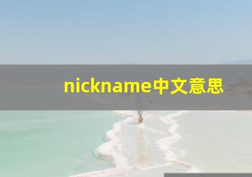 nickname中文意思