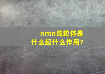 nmn线粒体是什么起什么作用?