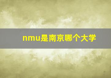 nmu是南京哪个大学