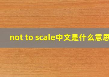 not to scale中文是什么意思