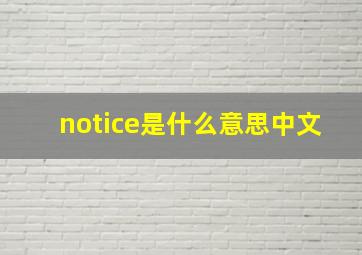 notice是什么意思中文