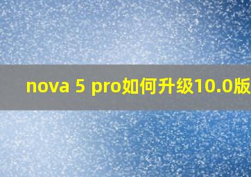 nova 5 pro如何升级10.0版本