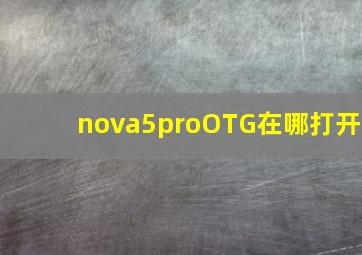 nova5proOTG在哪打开