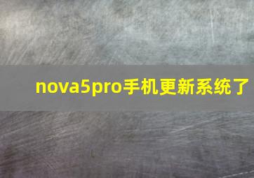 nova5pro手机更新系统了