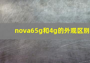 nova65g和4g的外观区别