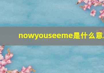 nowyouseeme是什么意思