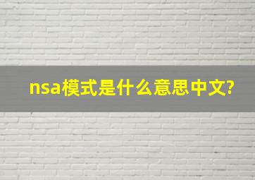 nsa模式是什么意思中文?