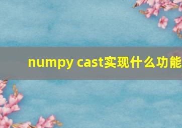 numpy cast实现什么功能