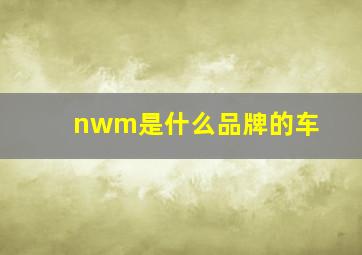 nwm是什么品牌的车