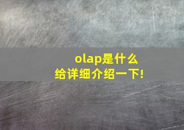 olap是什么,给详细介绍一下!