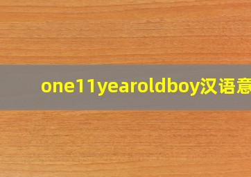 one11yearoldboy汉语意思