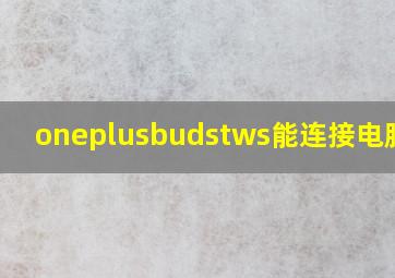 oneplusbudstws能连接电脑吗?