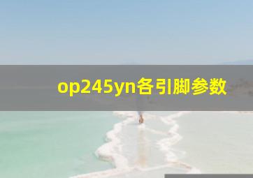 op245yn各引脚参数