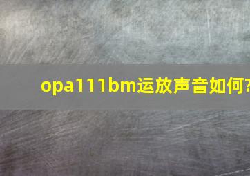 opa111bm运放声音如何?