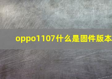 oppo1107什么是固件版本